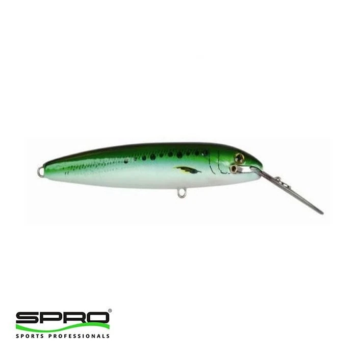 Text